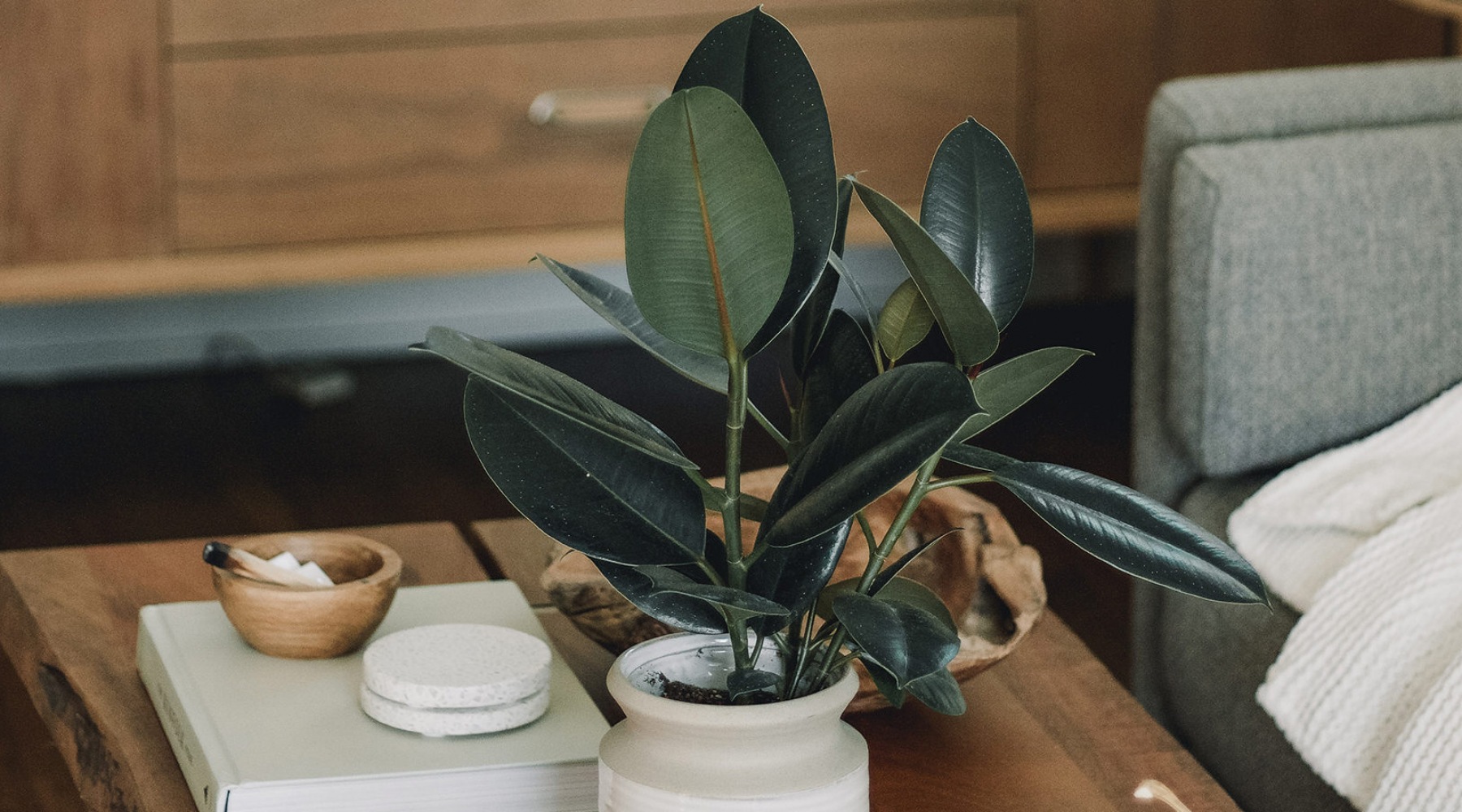 Greenville Apartments for Rent Adams Hill Apartments