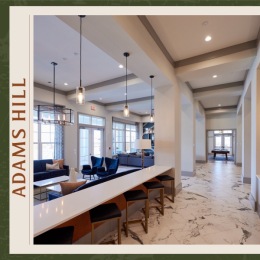Lux marble flooring, plush lounge seating, and stylish decor welcome you when you step into our clubhouse. 
Live Well, Live Better and choose Adams Hill!
__
#Adamshill #onthehill #apartmentlife #apartmentliving #lovewhereyoulive #greenvillesc #yeathatgreenville #apartmentsforrent #limitlesslifestyle  #nowleasing #residentlife #lifeisinthedetails #newapartments #youbelonghere #luxurylifestyle #gvltoday #parismountain Instagram post from @adamshillgreenville on December 03, 2023 12:38:31pm